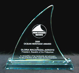 Shark Fin Awards